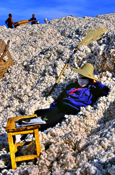 "Cotton" by Sergio Pessolano