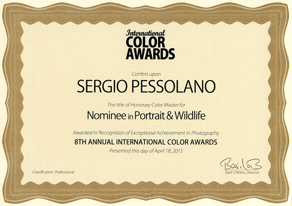 Nominee in Portrait & Wildlife