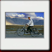 PAMIR