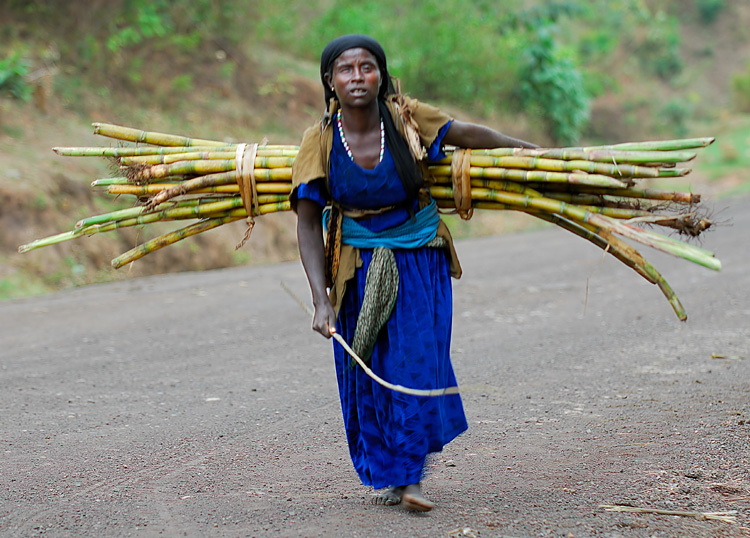 TRAVEL PHOTOGRAPHY - GALLERY 2 - ETHIOPIA - Konso People